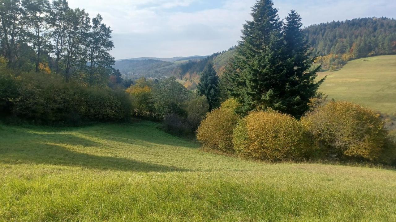 Lesny Dzban Hotell Komańcza Exteriör bild
