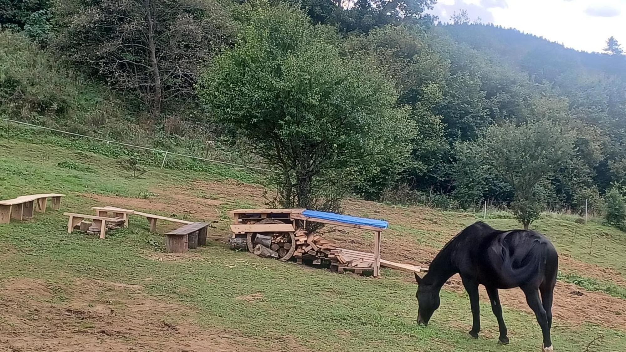 Lesny Dzban Hotell Komańcza Exteriör bild